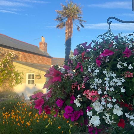 Bed and Breakfast Penwyth House New Quay Exteriér fotografie
