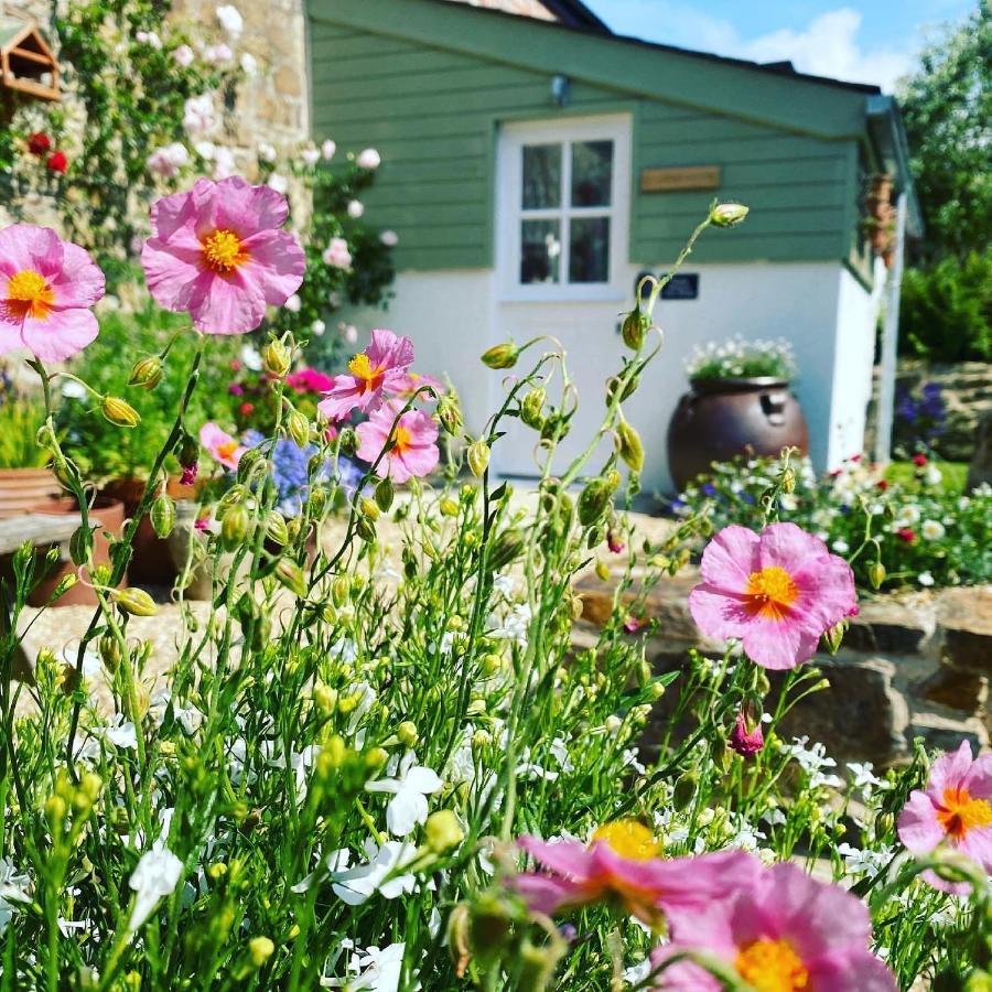 Bed and Breakfast Penwyth House New Quay Exteriér fotografie