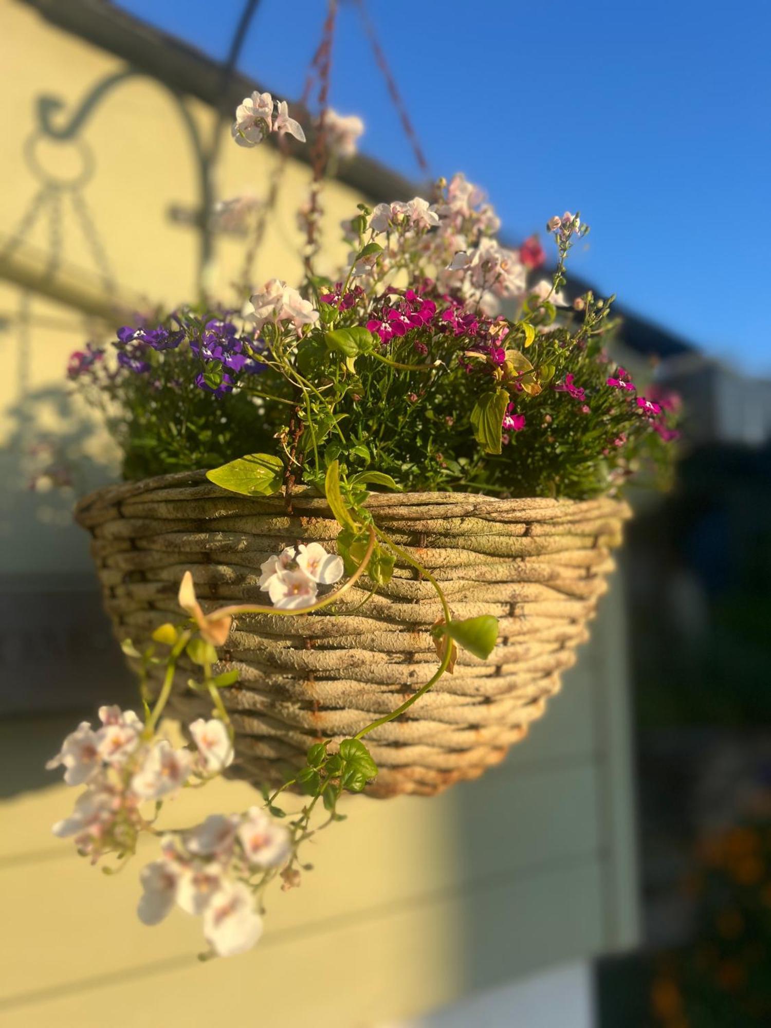 Bed and Breakfast Penwyth House New Quay Exteriér fotografie