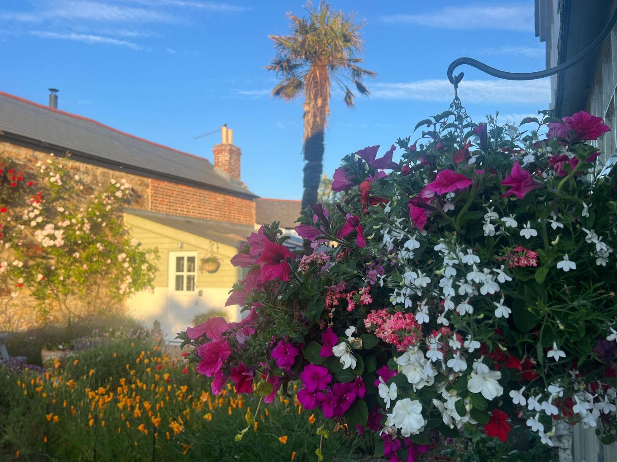 Bed and Breakfast Penwyth House New Quay Exteriér fotografie
